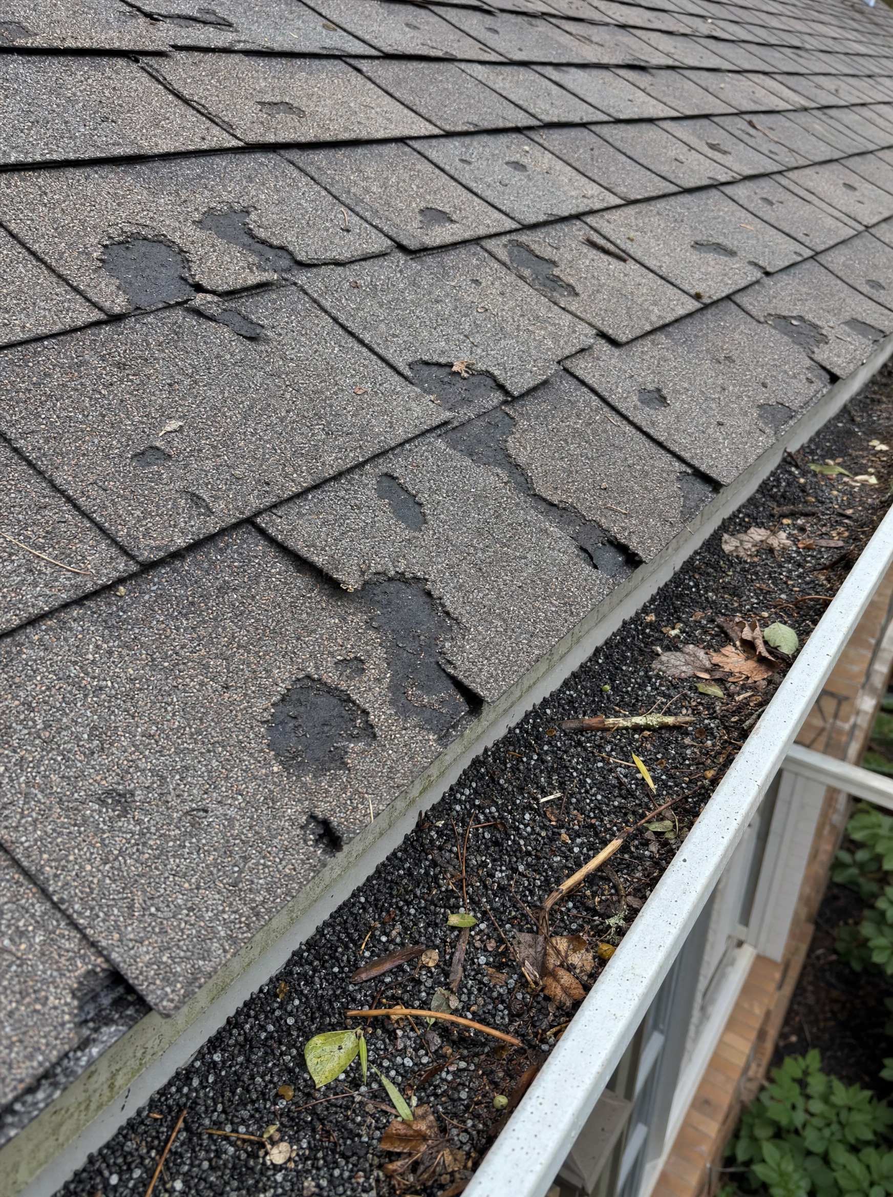 Close-up of storm-damaged shingles along the roof edge and gutter